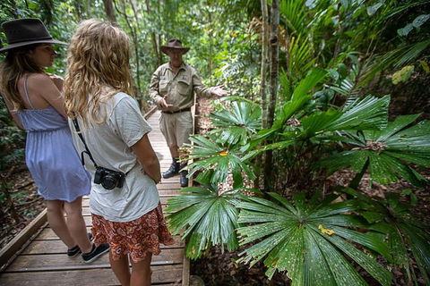 Daintree Rainforest, Cape Tribulation And Bloomfield Track Small Group Tour - Accommodation Cooktown 12
