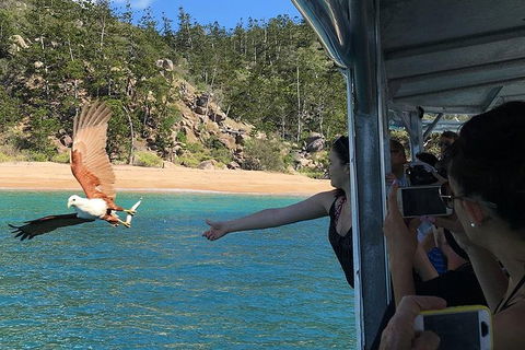 Aquascene Magnetic Island Discovery Tour - Accommodation Cooktown 2