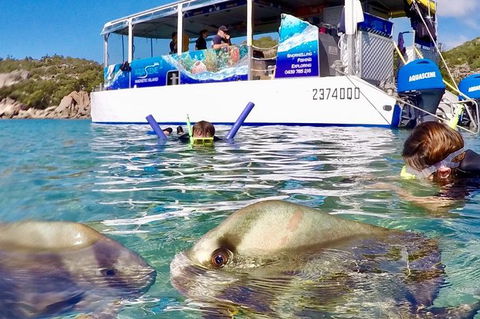Aquascene Magnetic Island Discovery Tour - Accommodation Cooktown 4