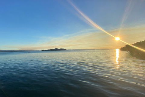 Aquascene Magnetic Island Discovery Tour - Accommodation Cooktown 3