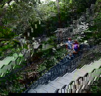 4-Day Cairns with Great Barrier Reef and Daintree Rainforest - Accommodation Cooktown