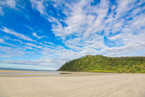 Daintree Afternoon Nocturnal Nature And Wildlife Tour - Accommodation Cooktown 8