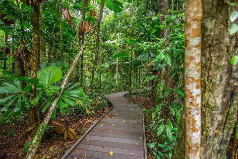 Daintree Afternoon Nocturnal Nature And Wildlife Tour - Accommodation Cooktown 9