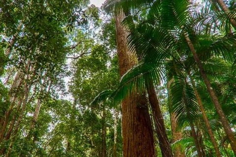 3-Day Fraser Island Hiking And 4WD Adventure From Hervey Bay - Accommodation Cooktown 1