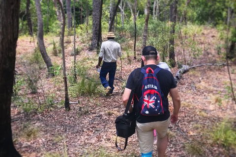 Half Day Aboriginal Rock Art Experience In Queensland - Accommodation Cooktown 5