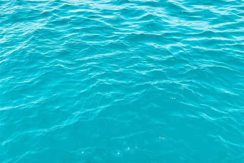 5 Night Bareboat Onboard Cattitude - Accommodation Cooktown 2