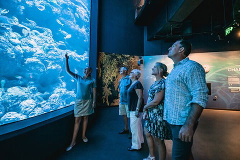 Cairns Aquarium By Twilight With 3 Course Dinner - Accommodation Cooktown 0