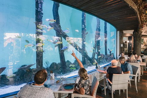 Cairns Aquarium By Twilight With 3 Course Dinner - Accommodation Cooktown 1