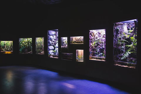 Cairns Aquarium By Twilight With 3 Course Dinner - Accommodation Cooktown 3