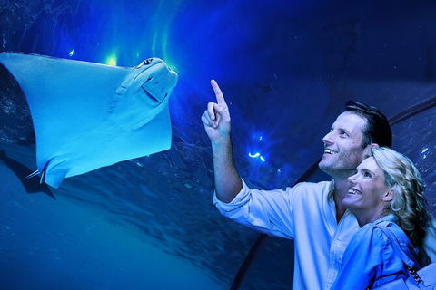 Cairns Aquarium Tour By Twilight With Drink And Appetiser - Accommodation Cooktown 0