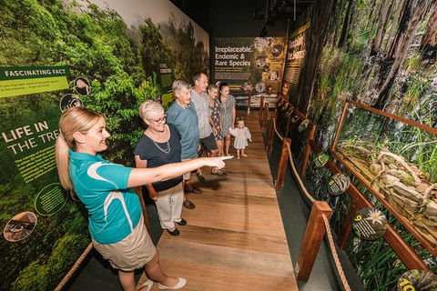 Cairns Aquarium Tour By Twilight With Drink And Appetiser - Accommodation Cooktown 3