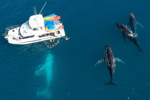 Remote Fraser Island & Whale Experience - Accommodation Cooktown 3