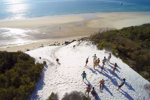 Remote Fraser Island & Whale Experience - Accommodation Cooktown 2