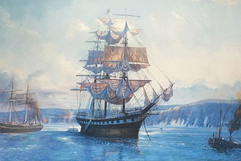 Sandy Straits Scenic & Wildlife Cruise - Accommodation Cooktown 8