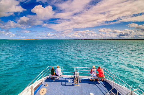Sandy Straits Scenic & Wildlife Cruise - Accommodation Cooktown 7