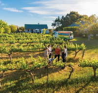 Barossa Valley Highlights from Barossa Valley Including Wine and Cheese Tasting - Accommodation Cooktown