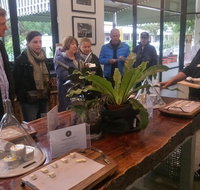 Half-Day Tour with a unique Barossan experience - Accommodation Cooktown