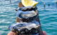 Coffin Bay Oysters, Ocean & Nature Tour - thumb 0