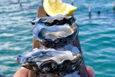 Coffin Bay Oysters, Ocean & Nature Tour - Accommodation Cooktown 0