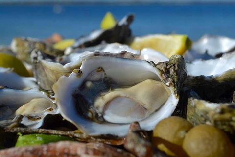 Coffin Bay Oysters, Ocean & Nature Tour - Accommodation Cooktown 8
