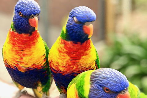 Coffin Bay Oysters, Ocean & Nature Tour - Accommodation Cooktown 9