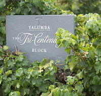 Yalumba Nursery  Grenache Discovery Tour  Platter Lunch - Accommodation Cooktown