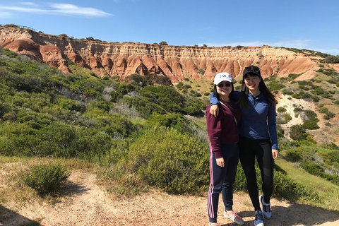 Adelaide Driving Tour - Accommodation Cooktown 5