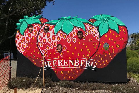 Adelaide Driving Tour - Accommodation Cooktown 1