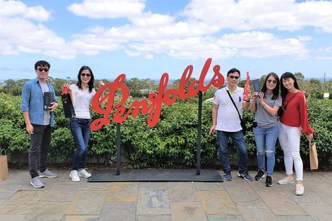 Adelaide Driving Tour - Accommodation Cooktown 6