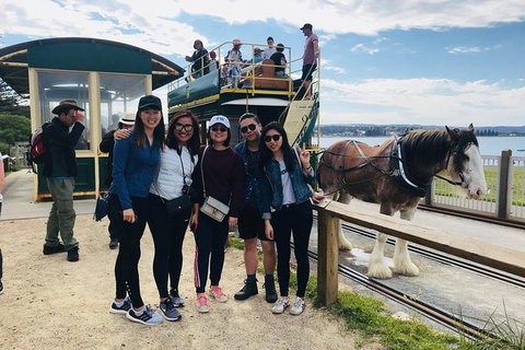 Adelaide Driving Tour - Accommodation Cooktown 3