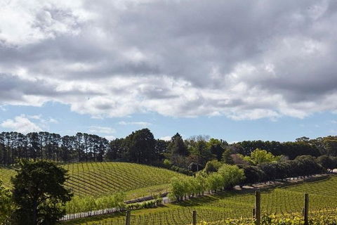 Adelaide Hills Full Day Winery Tour With Tastings - Accommodation Cooktown 4