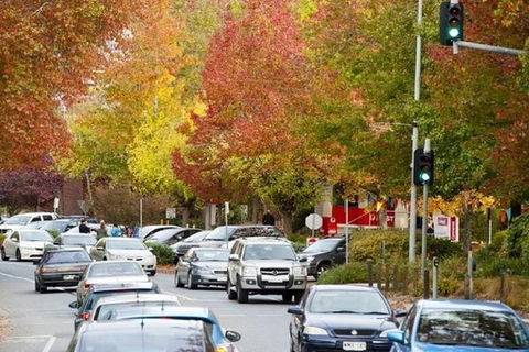 Adelaide Hills Full Day Winery Tour With Tastings - Accommodation Cooktown 3