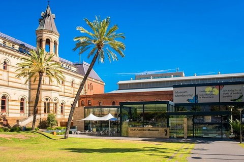 Adelaide Airport Transfers : Airport ADL To Adelaide City In Luxury Car - Accommodation Cooktown 6