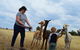 Alpaca Farm Tours With Toffeemont - thumb 4
