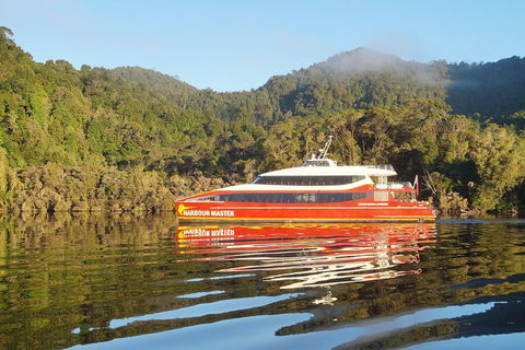 Afternoon Gordon River Dinner Cruise - Departing 3pm - Accommodation Cooktown 1