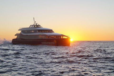Afternoon Gordon River Dinner Cruise - Departing 3pm - Accommodation Cooktown 0
