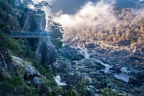 3.5 Hours Walking Tour To Cataract Gorge With Local Guide - Accommodation Cooktown 0