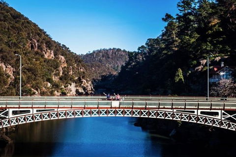3.5 Hours Walking Tour To Cataract Gorge With Local Guide - Accommodation Cooktown 5