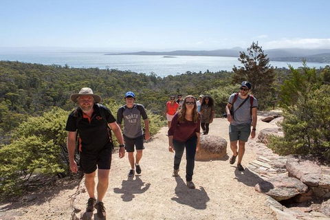 Half-Day Tour To Wineglass Bay From Launceston With Guide - Accommodation Cooktown 4