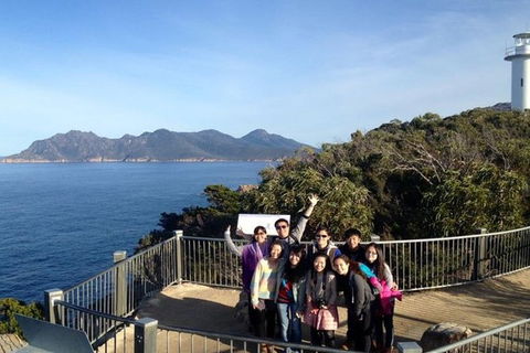 Half-Day Tour To Wineglass Bay From Launceston With Guide - Accommodation Cooktown 3