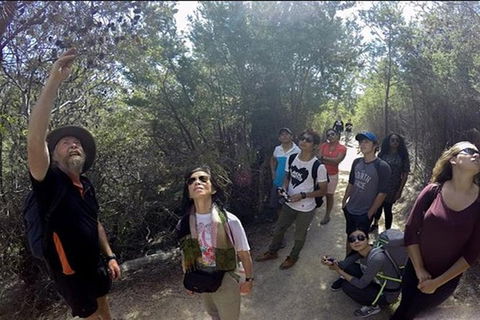 Half-Day Tour To Wineglass Bay From Launceston With Guide - Accommodation Cooktown 1