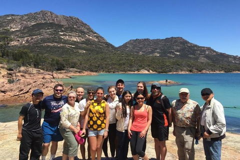 Half-Day Tour To Wineglass Bay From Launceston With Guide - Accommodation Cooktown 0