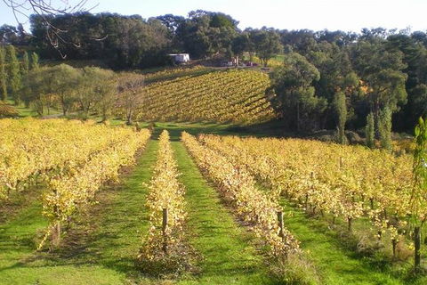 Macedon Ranges Winery Tour From Melbourne - Accommodation Cooktown 1