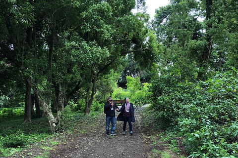 Alices Journeys Guided Walking Tours Of Daylesford - Accommodation Cooktown 5