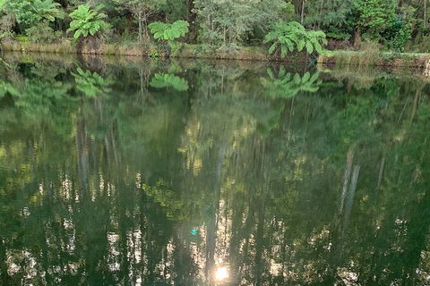 Hiking Tour To Aqueduct And Warburton Valley Lookout - Accommodation Cooktown 2