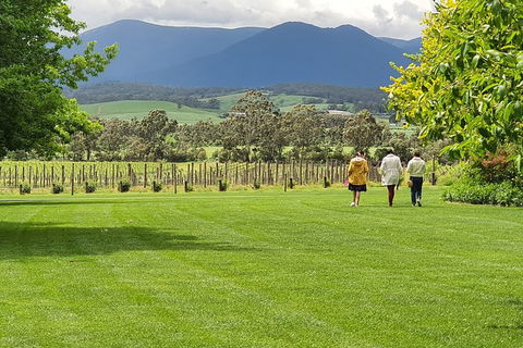 Yarra Valley Wine Tasting Day Tour From Melbourne - Accommodation Cooktown 6