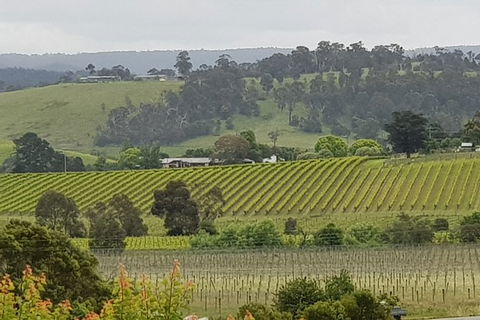 Yarra Valley Wine Tasting Day Tour From Melbourne - Accommodation Cooktown 0