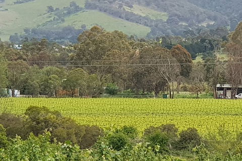 Day Tour Of Yarra Valley Puffing Billy And Rayners Orchard - Accommodation Cooktown 44