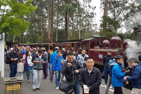 Day Tour Of Yarra Valley Puffing Billy And Rayners Orchard - Accommodation Cooktown 3
