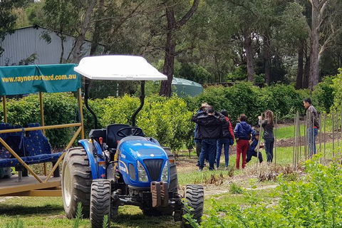 Day Tour Of Yarra Valley Puffing Billy And Rayners Orchard - Accommodation Cooktown 10